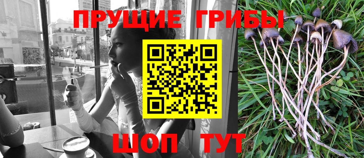 Галлюциногенные грибы мицелий  Вход с VPN  Псилоцибиновые грибы мицелий  Дзержинский 