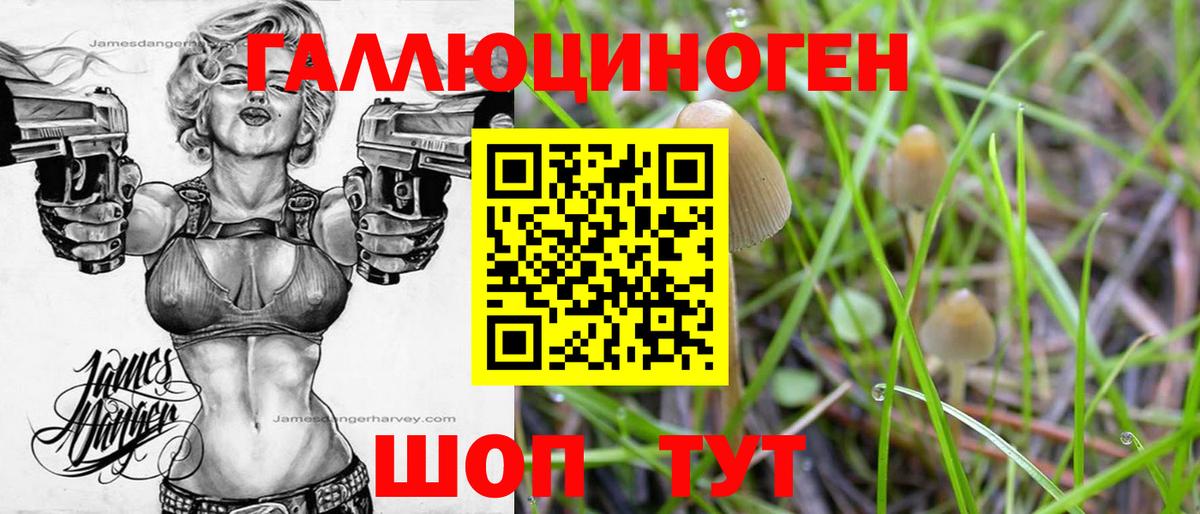 Галлюциногенные грибы ЛСД Дзержинский